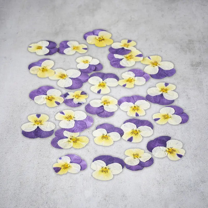 Dried Pansy Flowers
