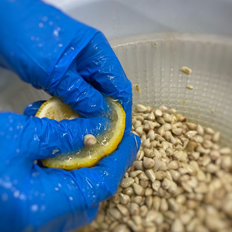 Artisanal Yuzu Purée from Kôchi