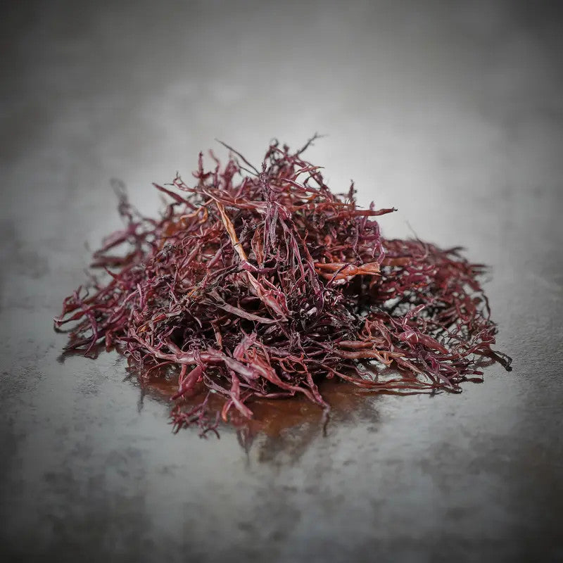 Alga funori selvatica Premium di Iwate