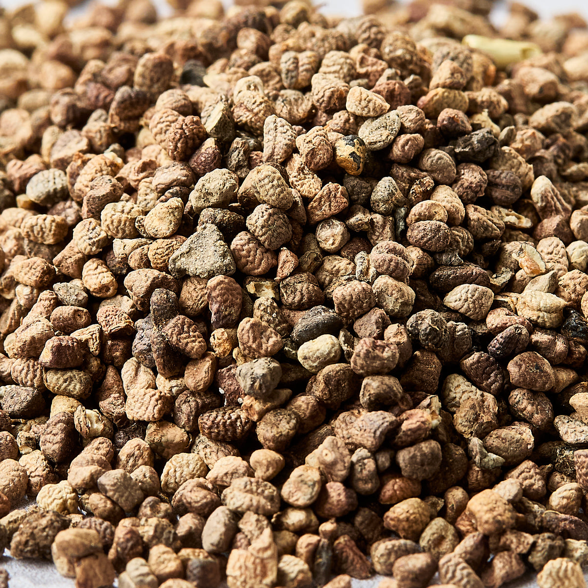 Cardamome verte en graines