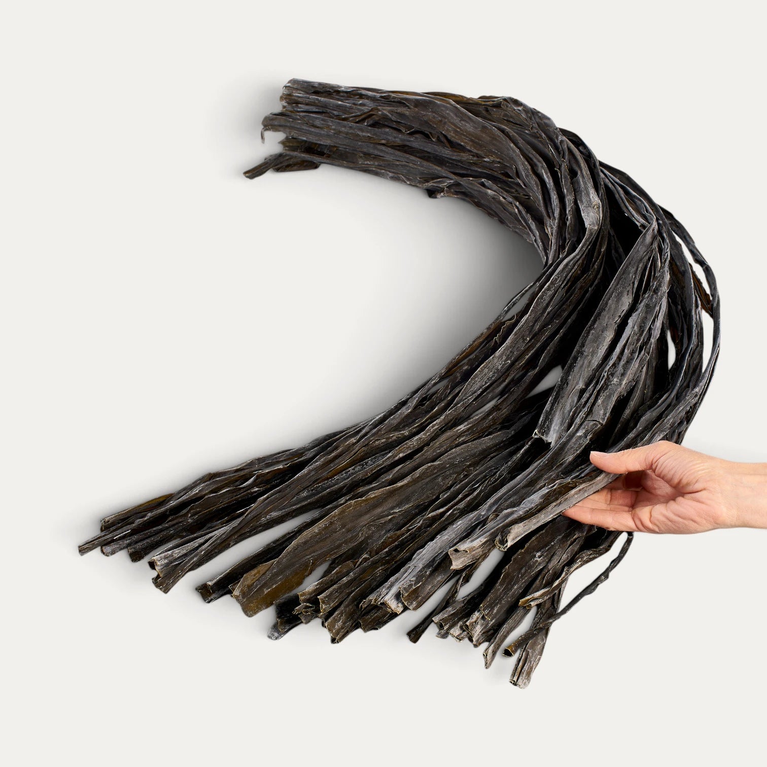Algue Hidaka Kombu sauvage - 1kg