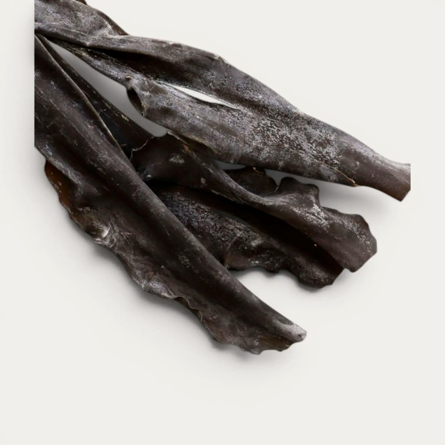 Algues Kurokuchihama Ma Kombu Premium de Hokkaido