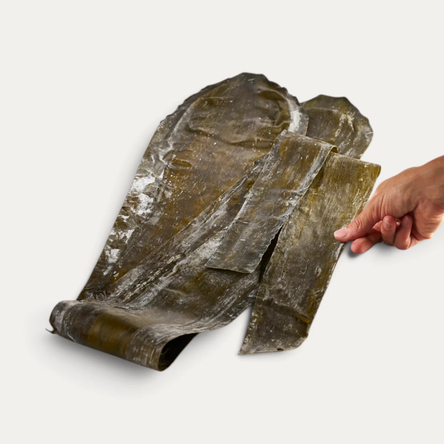 Alga Rausu Kombu premium - 1 kg