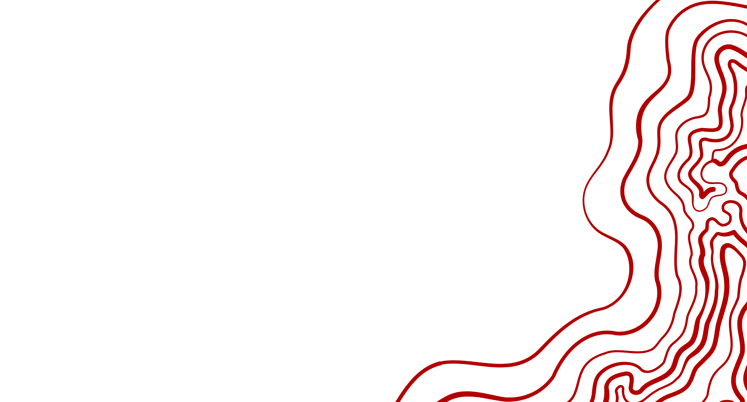 Motif topographique Nishikidori