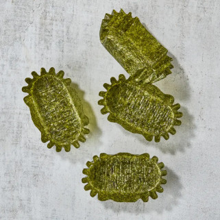 Nori Oval Nory Alge łącznik X192