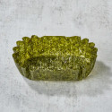NORI OVAL NORY ACIPPLETORE ALGE X192