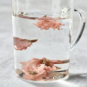 Salted cherry blossoms 5 mm stem Salted cherry blossoms 5 mm stem