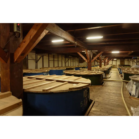 Широ бял Мирин