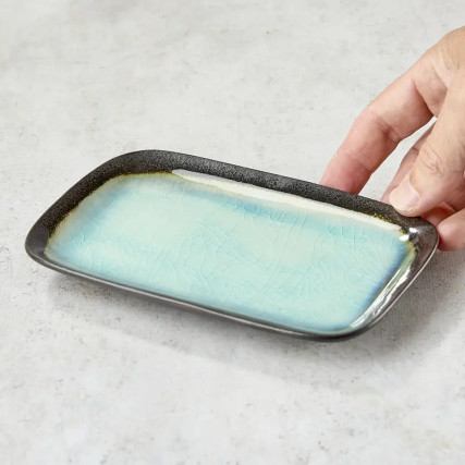glass enameled ceramic sushi plate