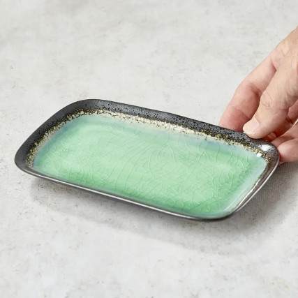 glass enameled ceramic sushi plate
