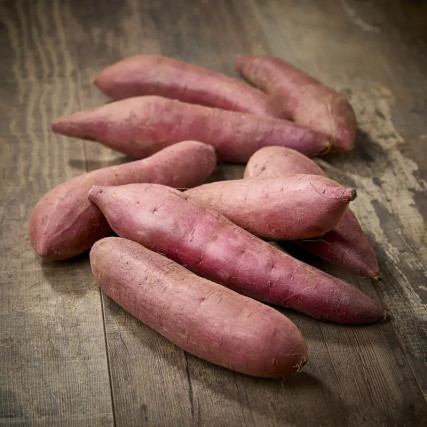 PATATE DOUCE BENIHARUKA (Ipomoea batatas) Préfecture de Chiba