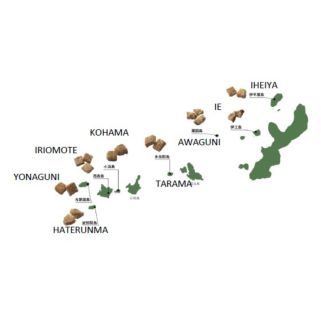 IRIOMOTE island raw black canesSugar powder 1 kg