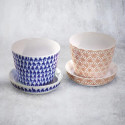 Porcelana Nikko, 2 xícaras em Soba + 2 Mini Cabeça e Daimyo Plate Porcelana Nikko, 2 xícaras em Soba + 2 Mini Cabeça e Daimyo Plate