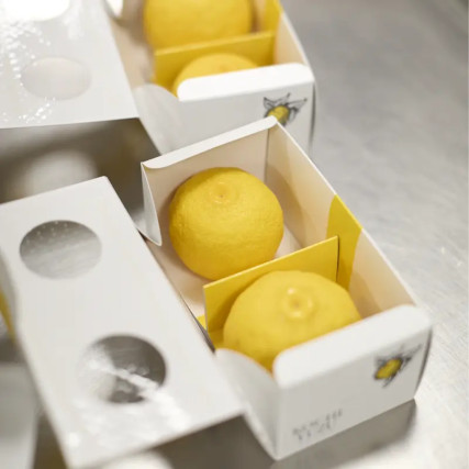 Rinde von 2 Yuzu Gelb