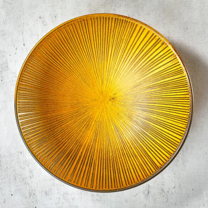 Piatto in qualcosa o udon