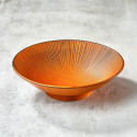 Levy Somesen, Udon ... savi, Ø 21,4 cm, syvyys 5,2 cm Levy Somesen, Udon ... savi, Ø 21,4 cm, syvyys 5,2 cm