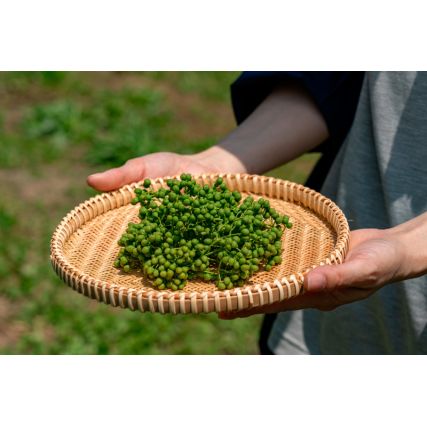 Baies de sansho saumurées