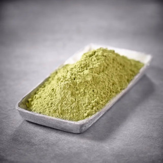 Sakura körsbärsblad i pulverblommor