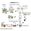 Kokuto, black raw cane sugar, pieces, tarama Kokuto, black raw cane sugar, pieces, tarama