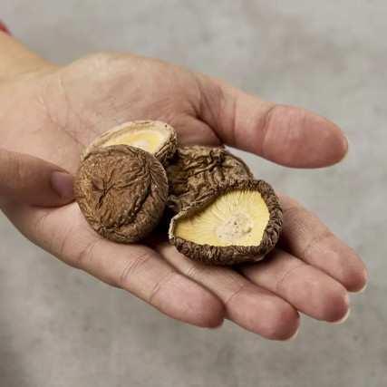 Shiitake pėdų skersmuo 3-5 cm