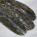 Algen Hungorhama Ma Kombu Premium de Hokkaido Algen Hungorhama Ma Kombu Premium de Hokkaido