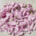 Kirsikkakukkien terälehdet Sakura 1.5G
