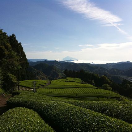 Bio Bio Bio Fereado 3 anos, Pó