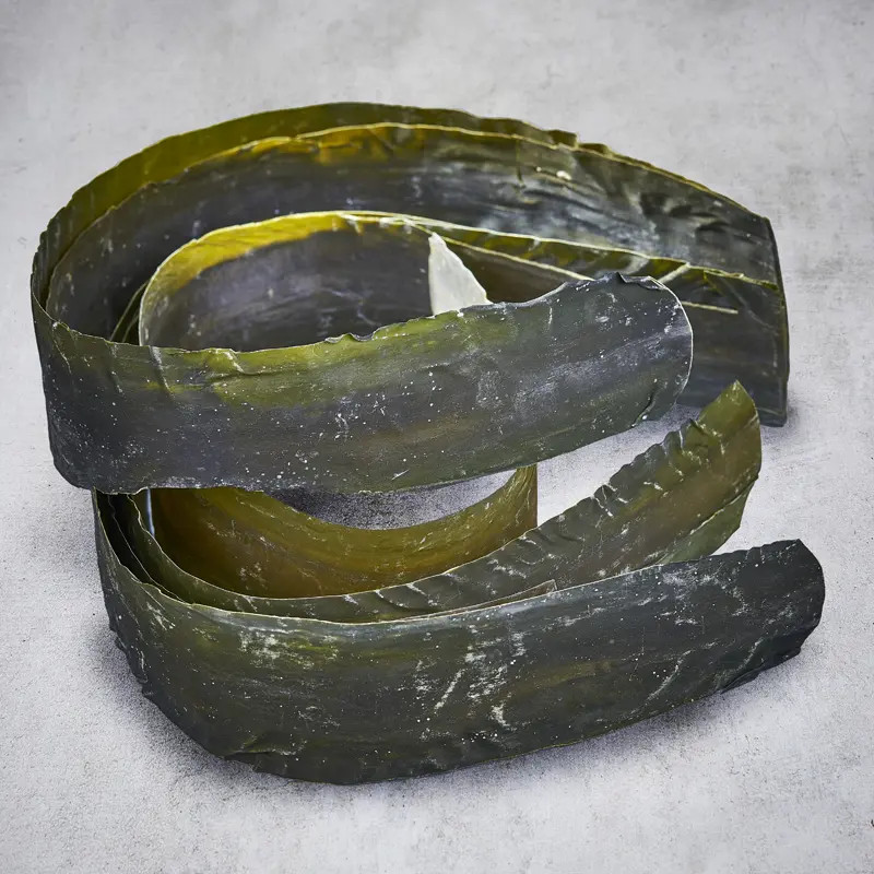 Rausu Kombu Wild Alg