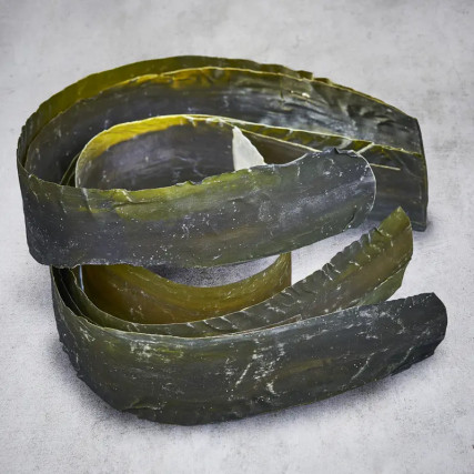 Rausu Kombu Wild Alg