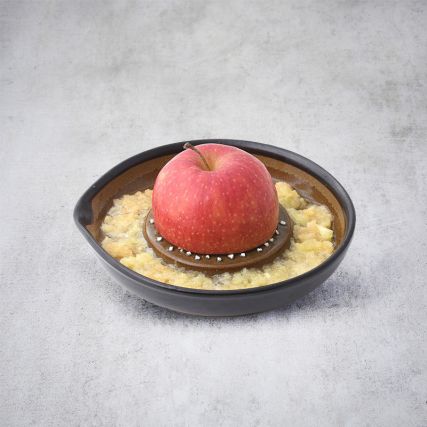Suri Motoshige Haltung Reibe