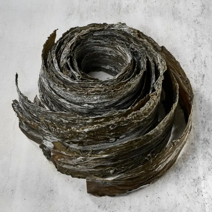 Το άγριο kombu kurokuchihama 1 kg
