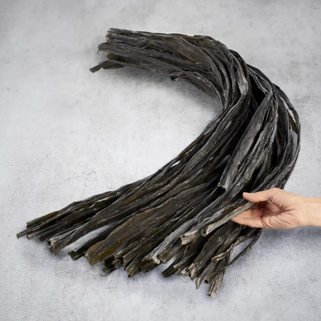 Algas silvestres de Hidaka Kombu