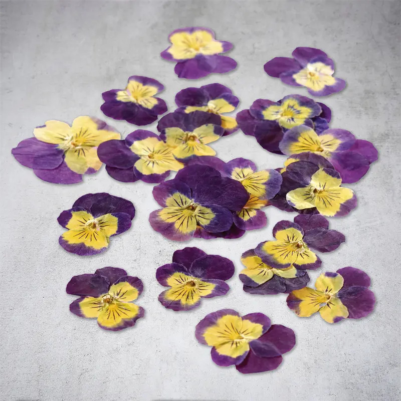 Dried edible viola flowers