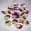 Violas comestibles deshidratadas