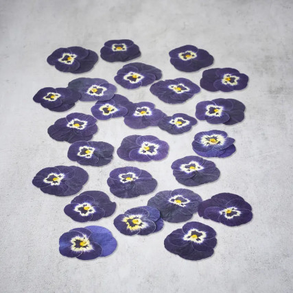 Fleurs de pensées séchées