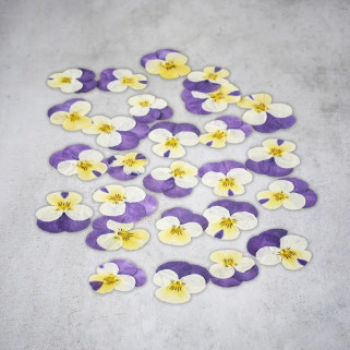 Fleurs de pensées séchées