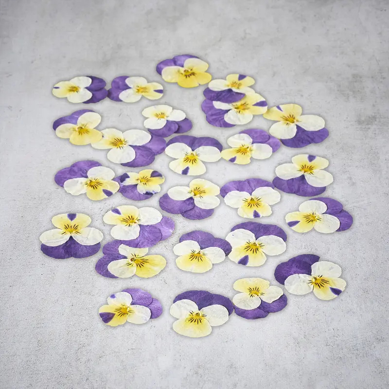 Fleurs de pensées séchées