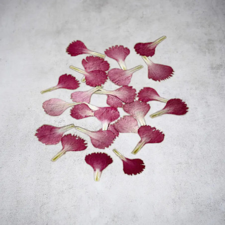 Сушени венчелистчета от червения отвор