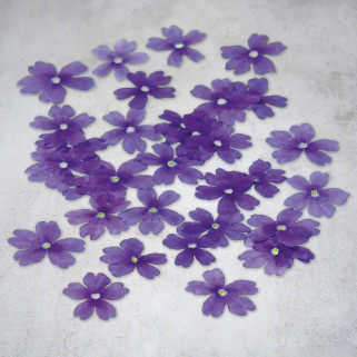 Fleurs de verveine séchées