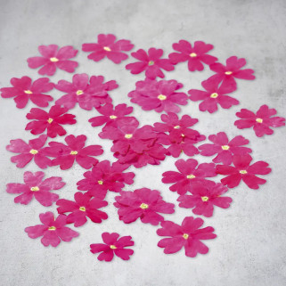 Gedroogde verbena bloemen