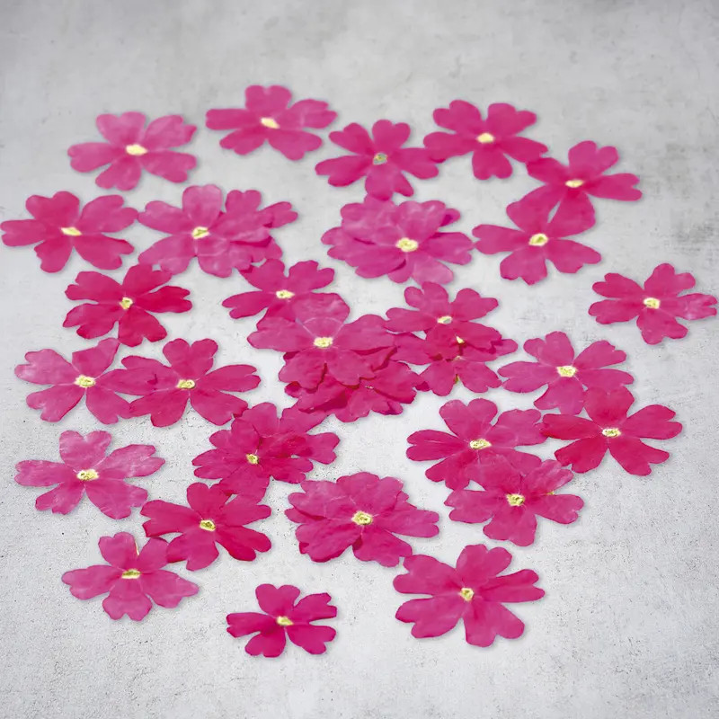 Изсушени цветя