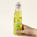 Limonada Hata Ramune Autêntico Yuzu Sabor 200 ml Limonada Hata Ramune Autêntico Yuzu Sabor 200 ml