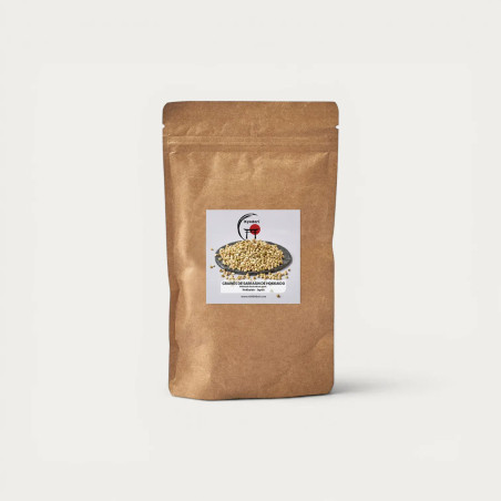 Hokaido 22kg Saracen sėklos
