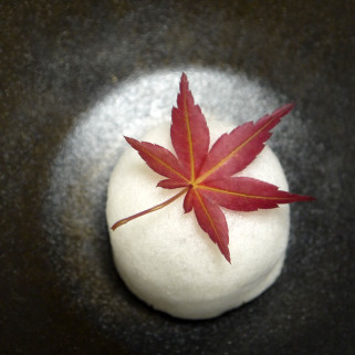 Japanische Ahornblätter getrockneter Momiji