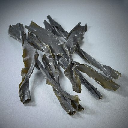 Algue Bo kombu