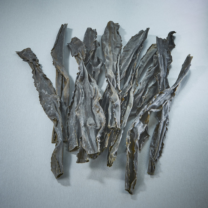 Alga hidaka-kombu