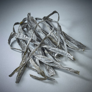 Algen Naga Kombu Kombu