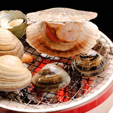 Barbecue de table Shichirin M