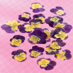 Dried edible viola fowers Flowers & leaves