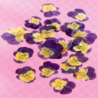 Dried thought flowers "L"